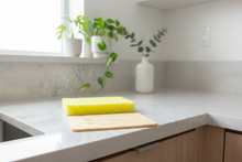 Load image into Gallery viewer, Wipedout Cellulose Sponge Lifestyle